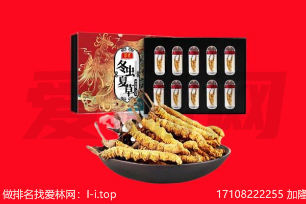 海南省琼中县回收虫草.jpg